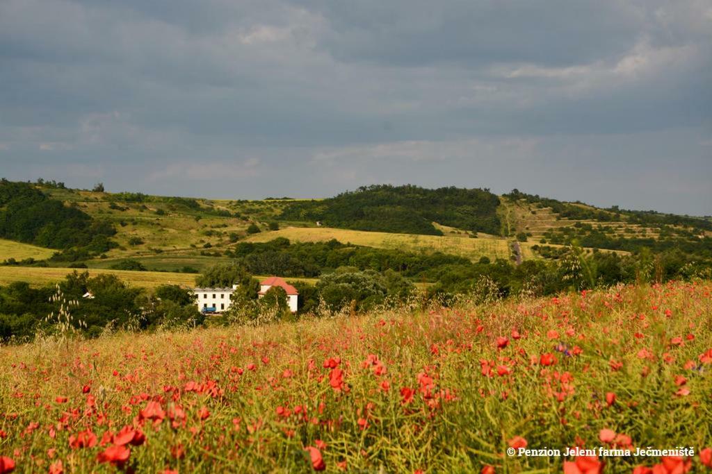 מלון Vrbovec Jeleni Farma Jecmeniste מראה חיצוני תמונה